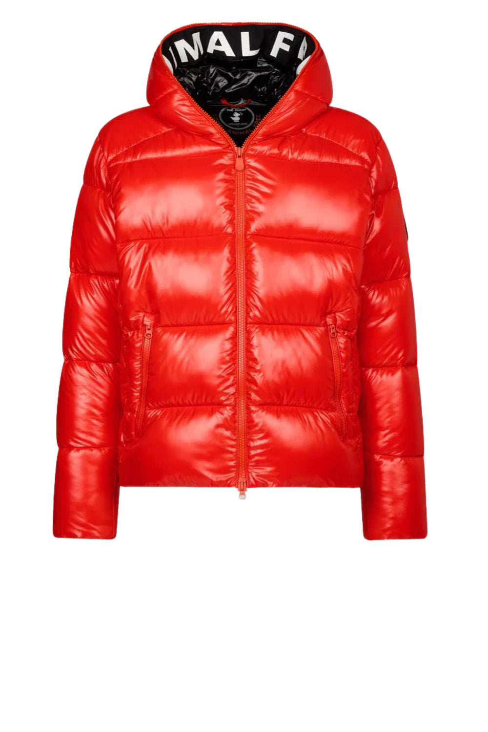  Save The Duck Edgard Down Jacket Red Uomo - 1